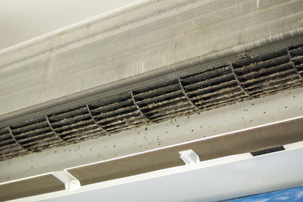 Best Air Duct Cleaning Company Near Me  in Thomaston, NY